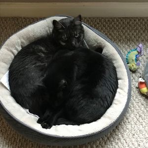 Meet your Posher, Kirsten